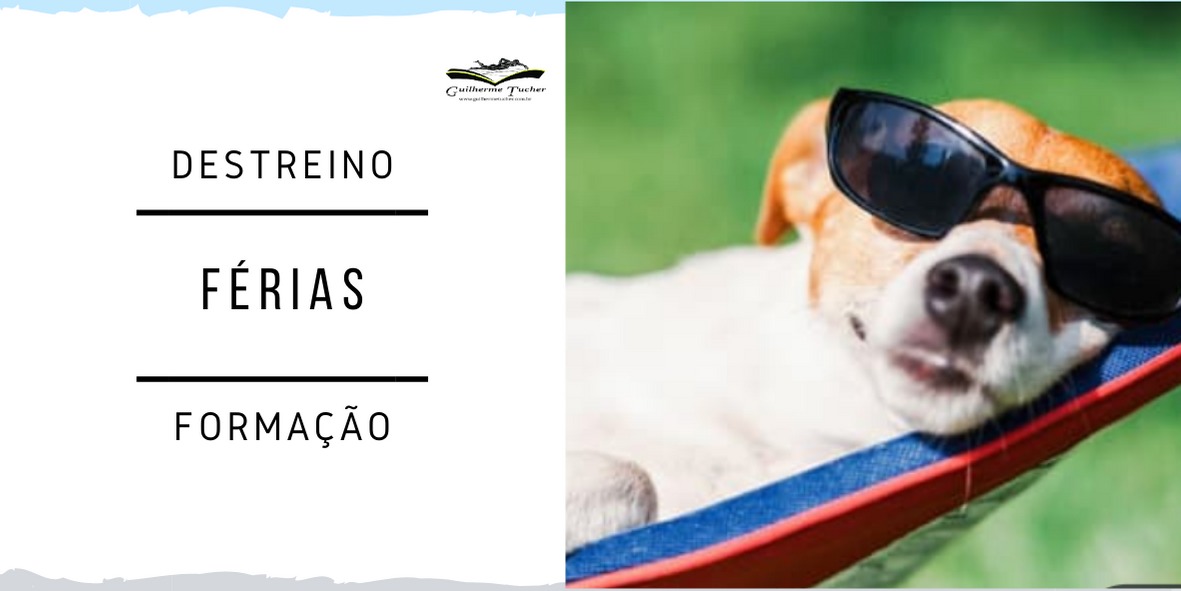 Férias, destreino e a formação do nadador